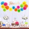 60 Pcs Tissue Paper Pom Poms Kit Colorful 10, 12, 14 Inch Rainbow Pom Poms Ball Decorations for Classroom Outdoor Birthday Wedding